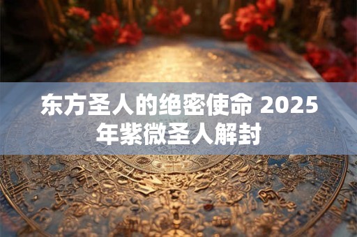东方圣人的绝密使命 2025年紫微圣人解封