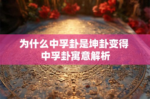 为什么中孚卦是坤卦变得 中孚卦寓意解析