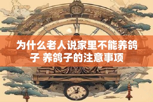 为什么老人说家里不能养鸽子 养鸽子的注意事项