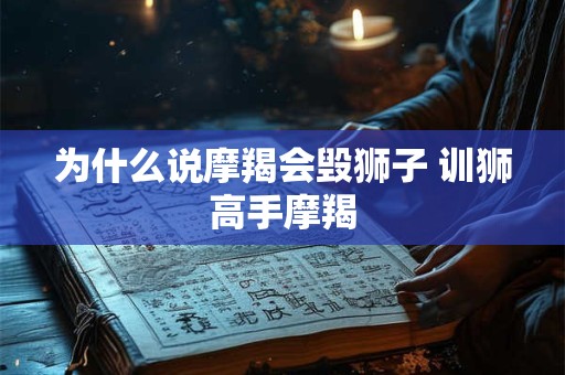 为什么说摩羯会毁狮子 训狮高手摩羯