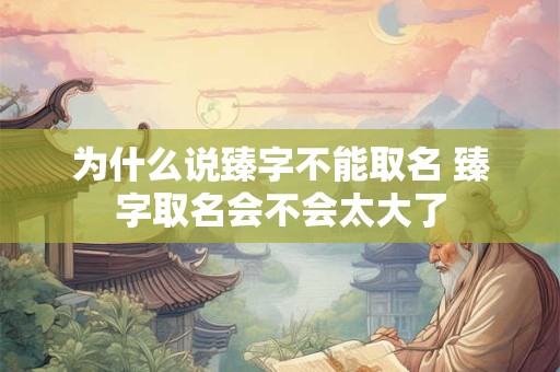 为什么说臻字不能取名 臻字取名会不会太大了