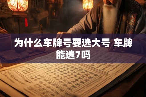为什么车牌号要选大号 车牌能选7吗