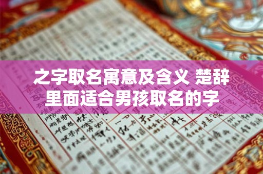之字取名寓意及含义 楚辞里面适合男孩取名的字