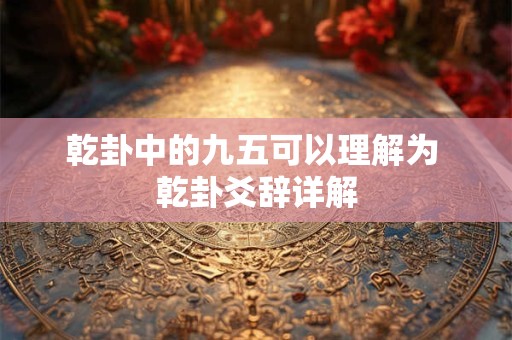 乾卦中的九五可以理解为 乾卦爻辞详解