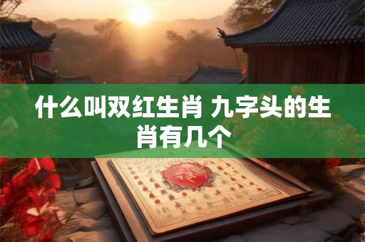 什么叫双红生肖 九字头的生肖有几个