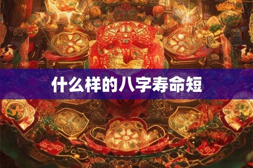 什么样的八字学历高
