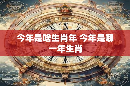 今年是啥生肖年 今年是哪一年生肖