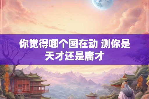 你觉得哪个图在动 测你是天才还是庸才