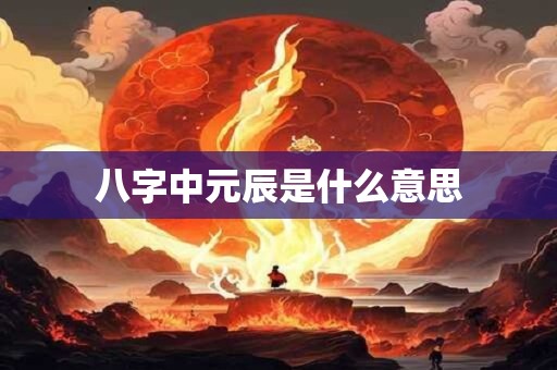八字中元辰是什么意思