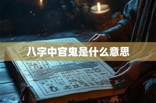 八字中官鬼是什么意思