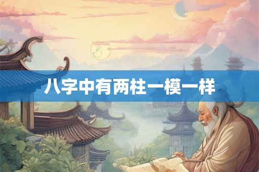 八字中有两柱一模一样