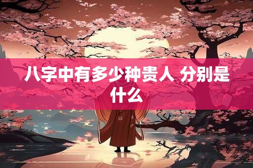 八字中有多少种贵人 分别是什么