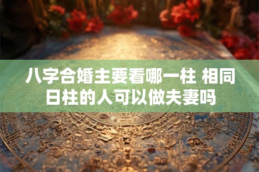 八字合婚主要看哪一柱 相同日柱的人可以做夫妻吗