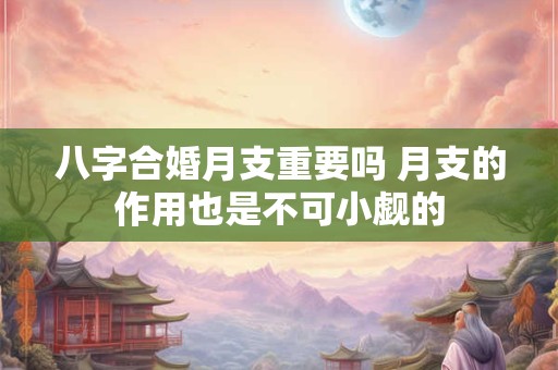 详细阅读:八字合婚月支重要吗 月支的作用也是不可小觑的 八字合婚月支重要吗 月支的作用也是不可小觑的