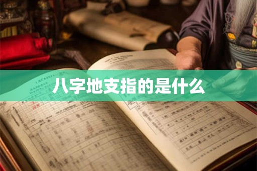 八字地支指的是什么