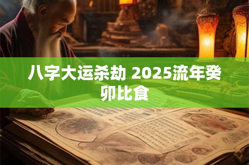 八字大运杀劫 2025流年癸卯比食