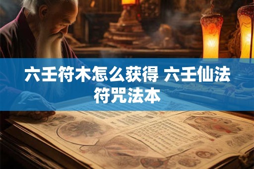 六壬符木怎么获得 六壬仙法符咒法本