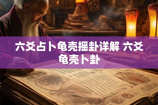 六爻占卜龟壳摇卦详解 六爻龟壳卜卦