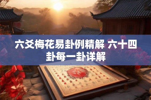 六爻梅花易卦例精解 六十四卦每一卦详解