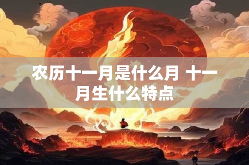 农历十一月是什么月 十一月生什么特点