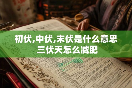 初伏 中伏 末伏哪个最热 三伏天是中伏最热吗