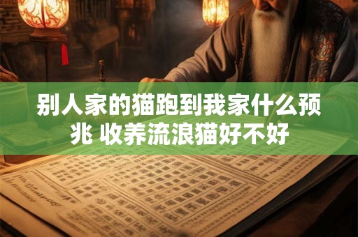 别人家的猫跑到我家什么预兆 收养流浪猫好不好
