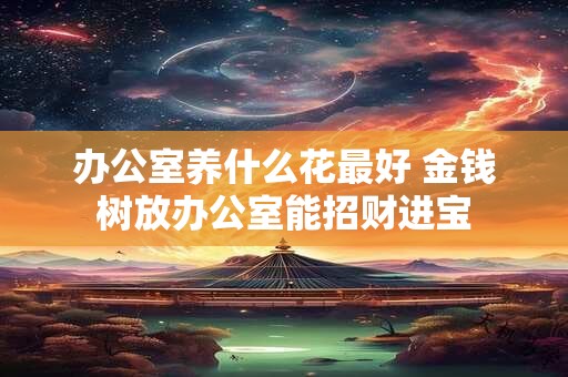 办公室养什么花最好 金钱树放办公室能招财进宝