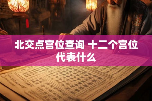 北交点宫位查询 十二个宫位代表什么
