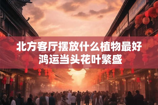 北方客厅摆放什么植物最好 鸿运当头花叶繁盛