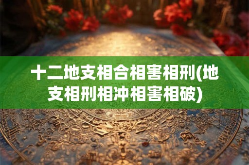 十二地支相合相害相刑(地支相刑相冲相害相破)