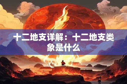 十二地支详解：十二地支类象是什么