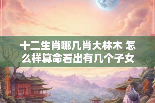 十二生肖哪方面的性格比较引人注意