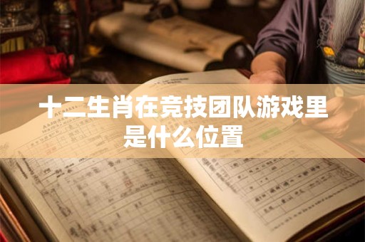 十二生肖在竞技团队游戏里是什么位置