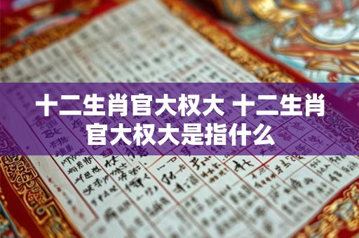 十二生肖官大权大 十二生肖官大权大是指什么