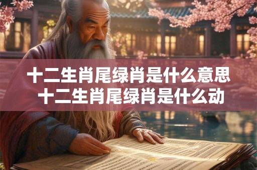 十二生肖展示方式 十二生肖讲解