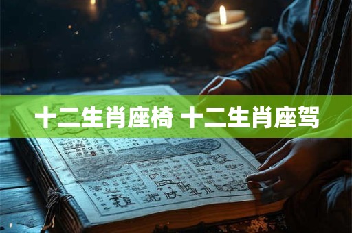 十二生肖座椅 十二生肖座驾