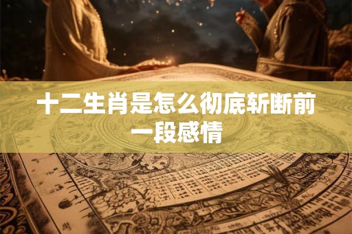 十二生肖是怎么彻底斩断前一段感情