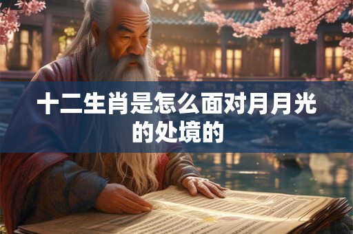 十二生肖是怎么面对月月光的处境的