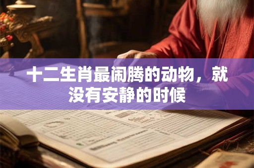 十二生肖最闹腾的动物，就没有安静的时候