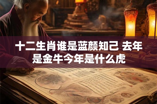 十二生肖谁是蓝颜知己 去年是金牛今年是什么虎