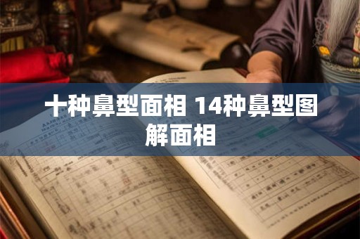 十种鼻型面相 14种鼻型图解面相