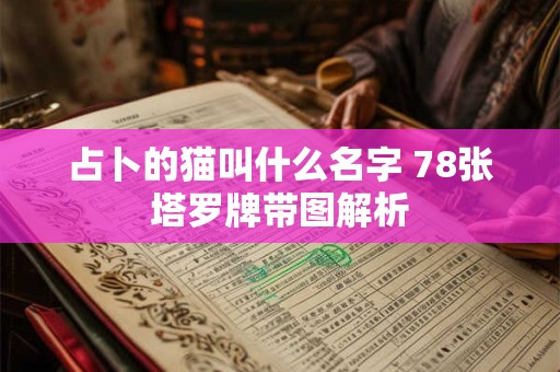 占卜的猫叫什么名字 78张塔罗牌带图解析