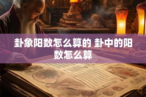 卦象阳数怎么算的 卦中的阳数怎么算