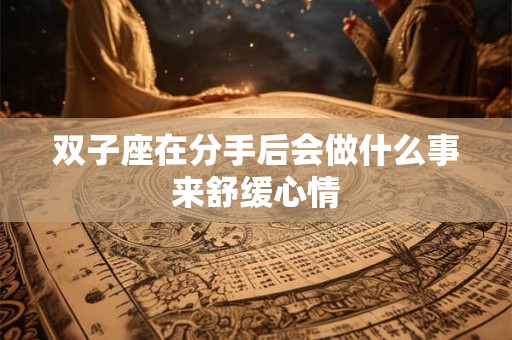 双子座在分手后会做什么事来舒缓心情