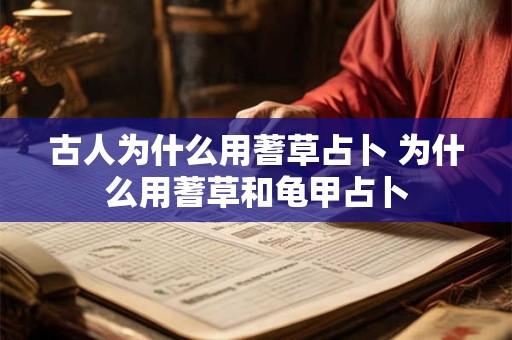 古人为什么用蓍草占卜 为什么用蓍草和龟甲占卜