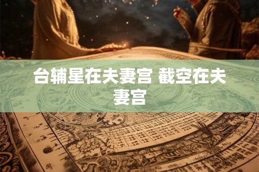 台辅星在夫妻宫 截空在夫妻宫