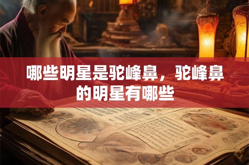 哪些明星是驼峰鼻，驼峰鼻的明星有哪些