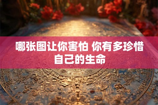 哪张图让你害怕 你有多珍惜自己的生命