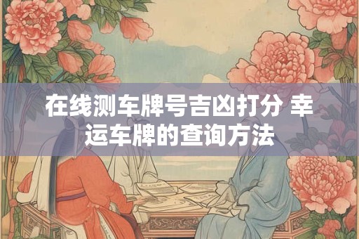 在线测车牌号吉凶打分 幸运车牌的查询方法