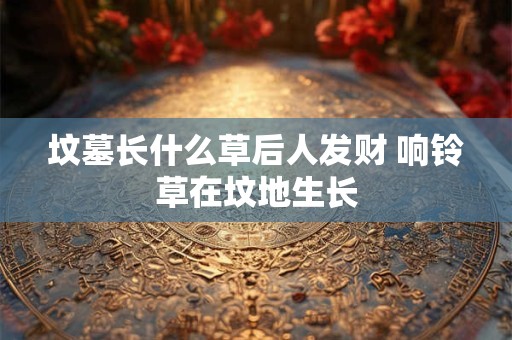 坟墓里有蛇好吗？具体情况具体分析